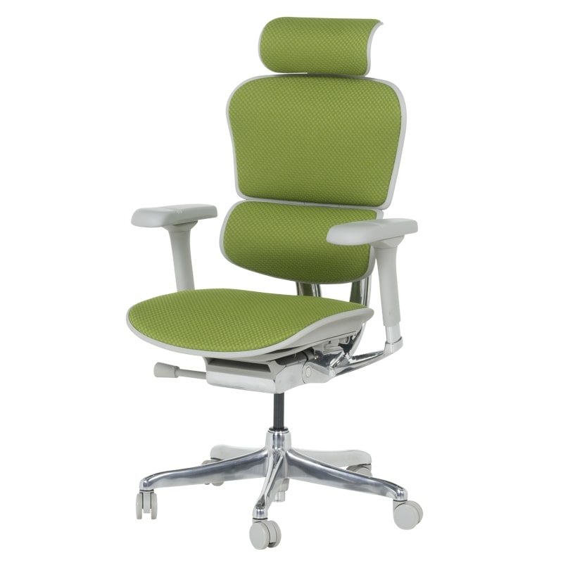 Ергономичен офис стол Ergohuman Elite 2 дамаска зелен-сива рамка